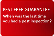 Pest Free Guarantee